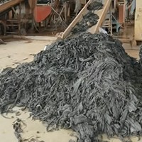 film de paillage agricole en PE